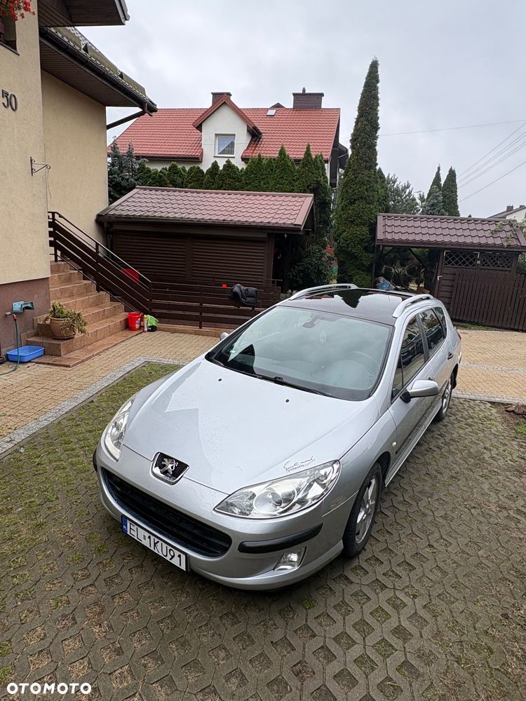 Peugeot 407 - 1