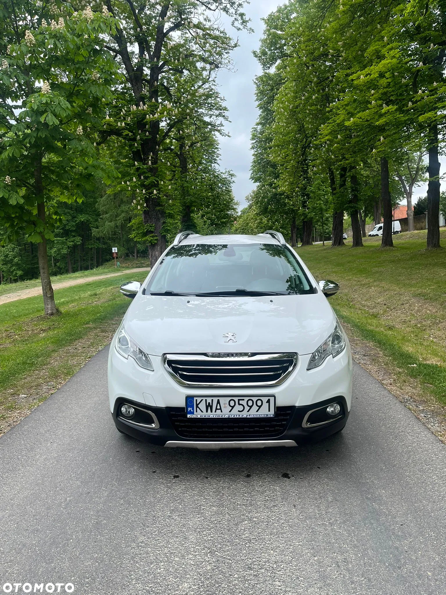 Peugeot 2008 1.2 Pure Tech Style EU6 - 2