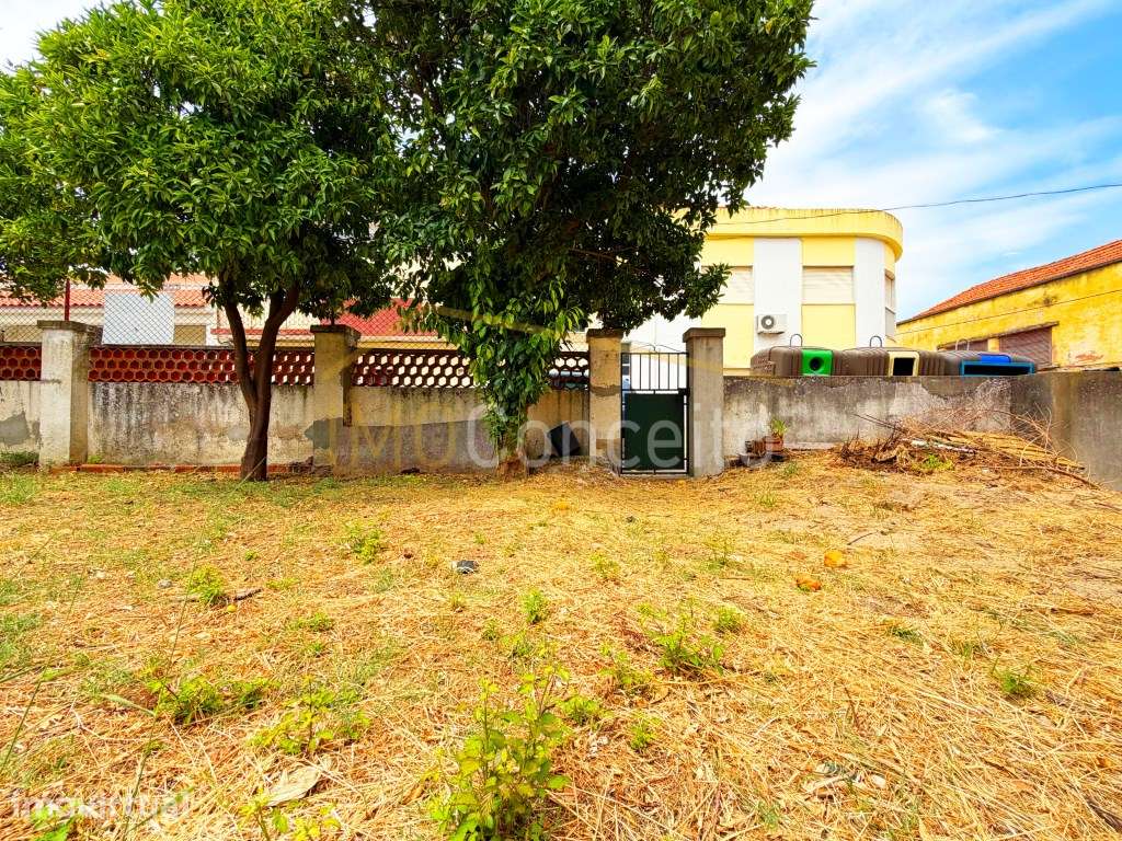 Terreno Urbano Entroncamento - Grande imagem: 4/23
