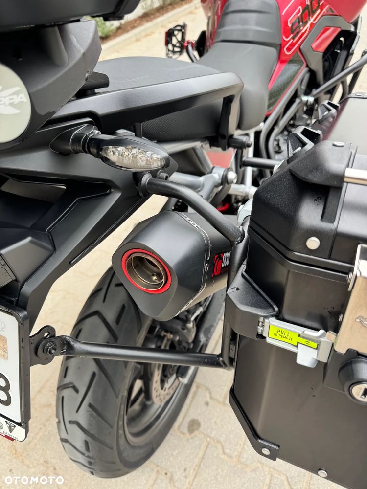 Triumph Tiger - 8