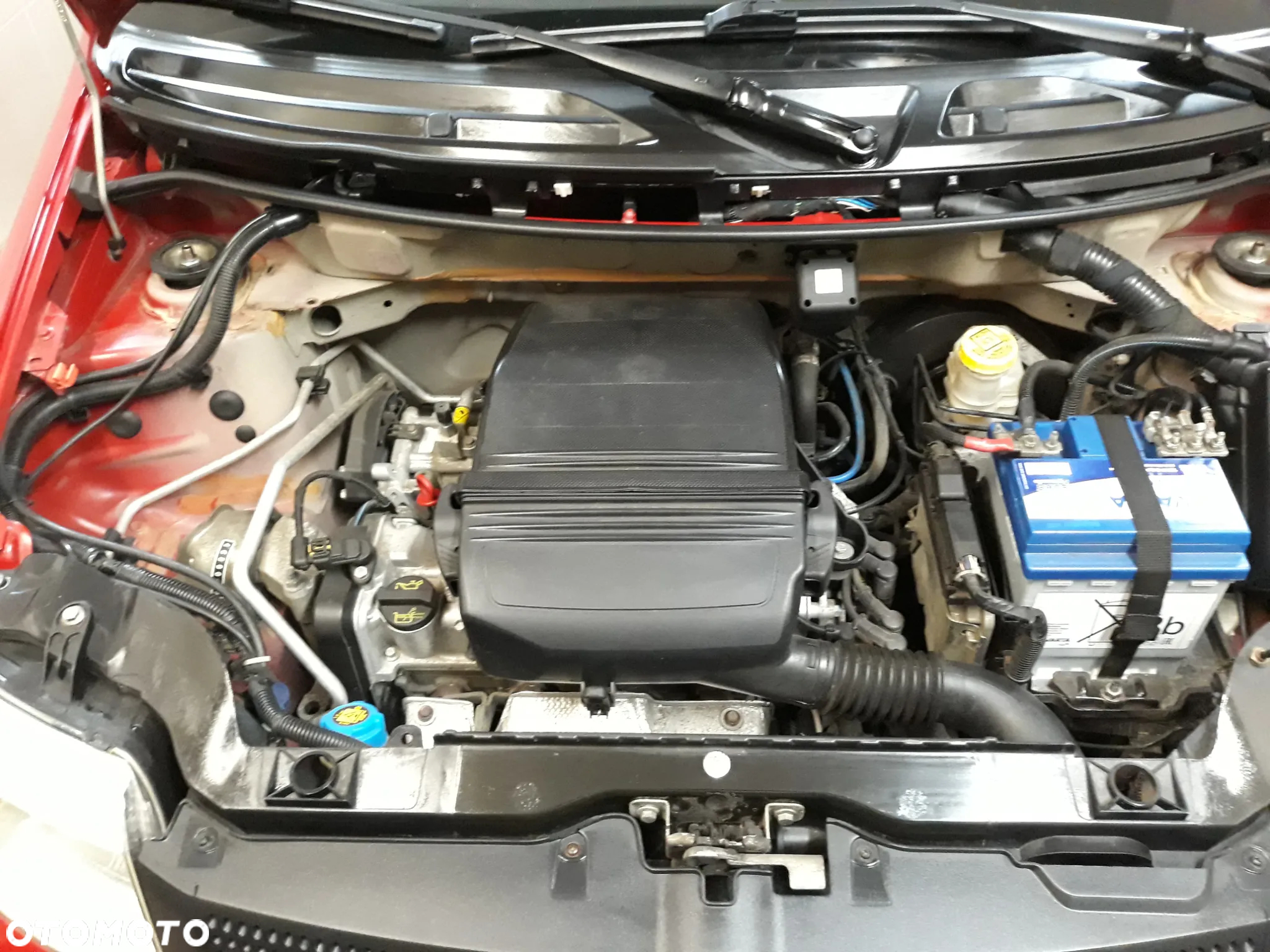 Fiat Panda 1.1 Actual Eco - 12