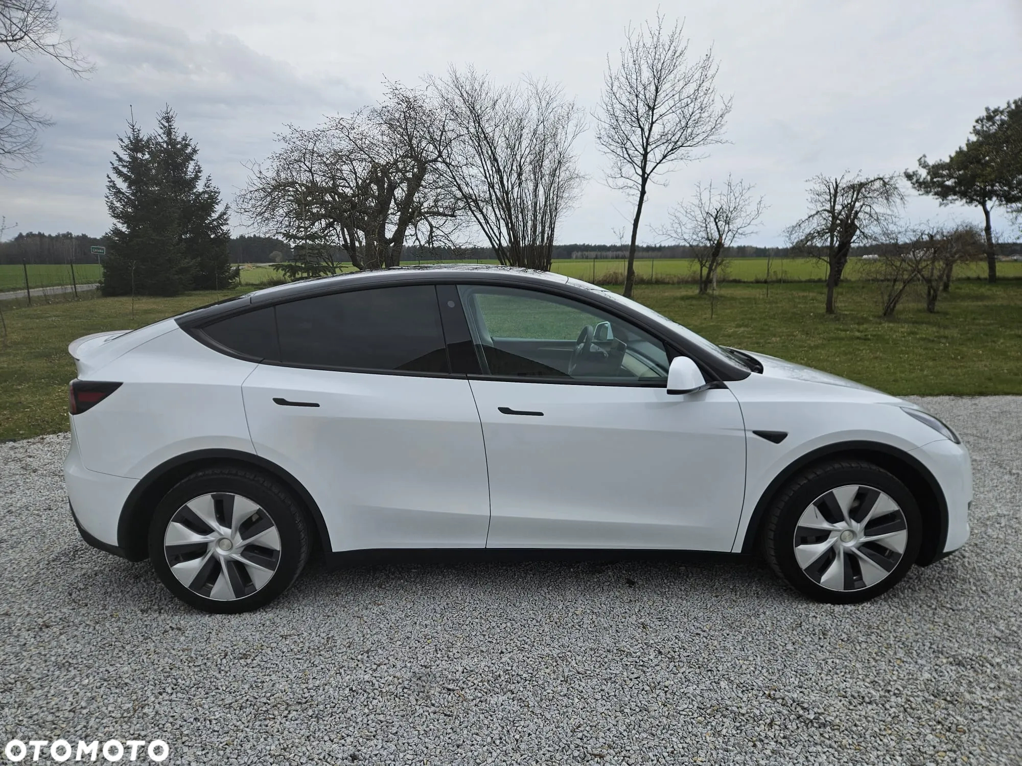 Tesla Y Model RWD - 3