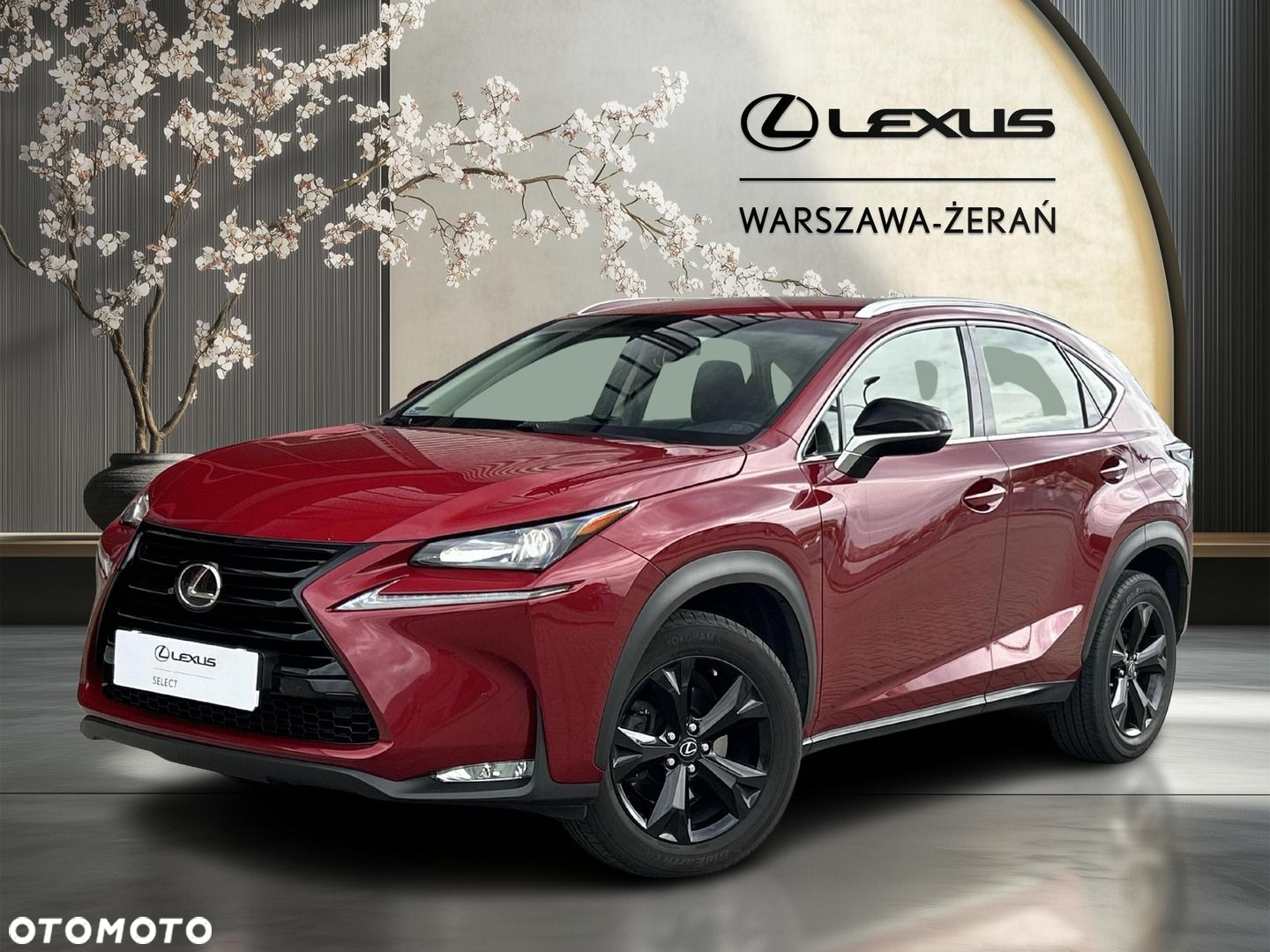 Lexus NX 200t Elite AWD - 2