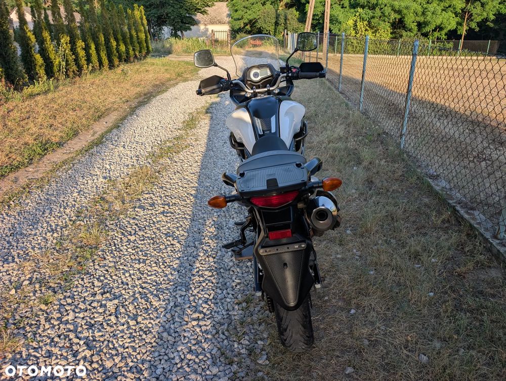 Suzuki V-STROM - 11