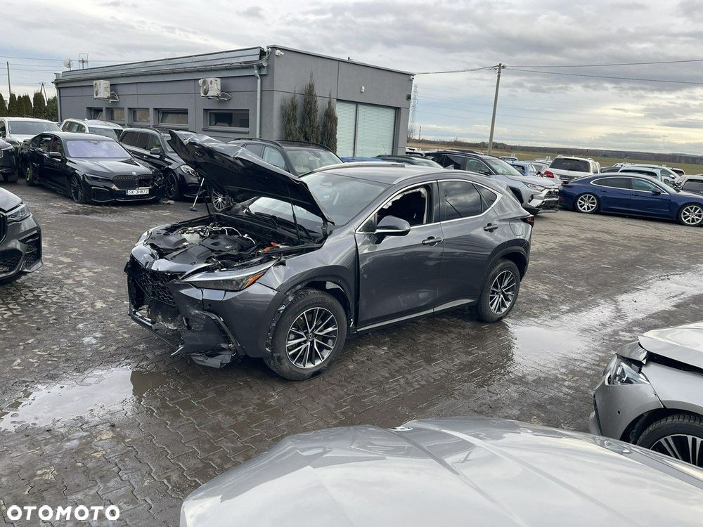 Lexus NX 450h+ E-FOUR Business - 2