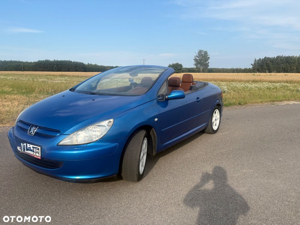 Peugeot 307 CC 2.0 - 8