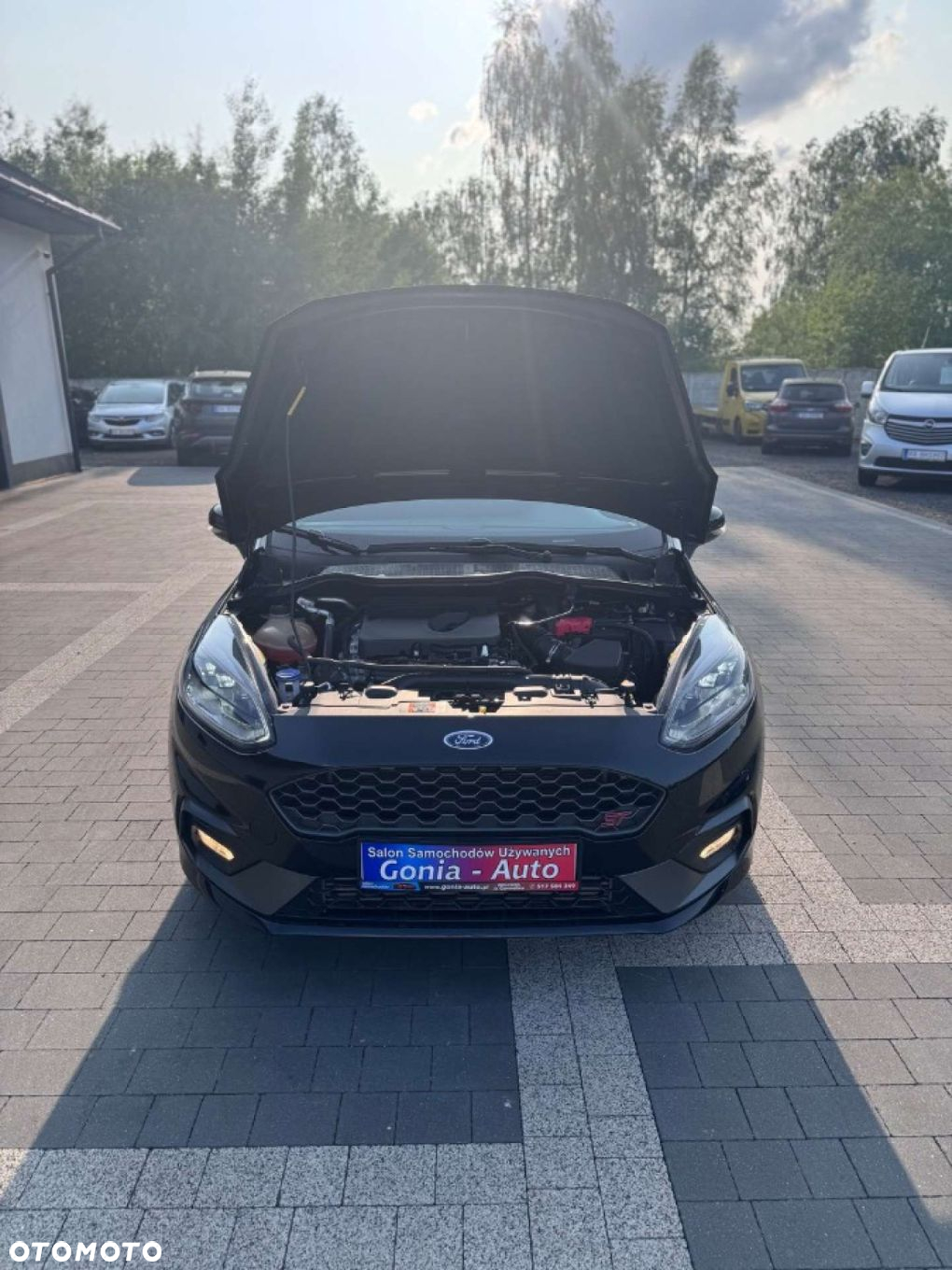 Ford Fiesta - 9
