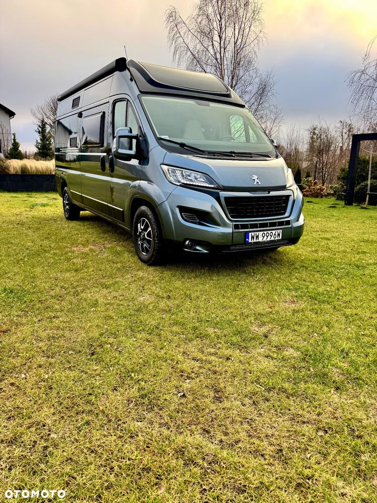 McLOUIS Prestige - 5