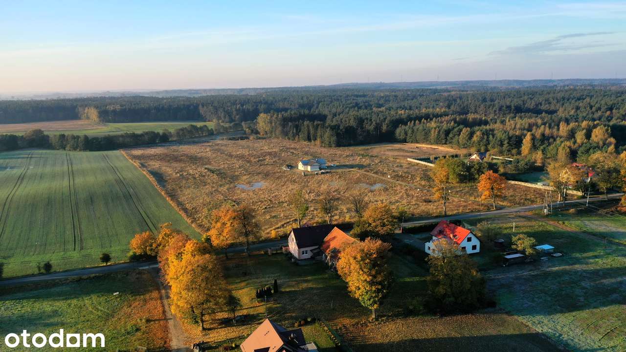 OSTATNIE działki blisko Gdańska - warunki zabudowy, media, droga - Pełny obrazek: 4/11