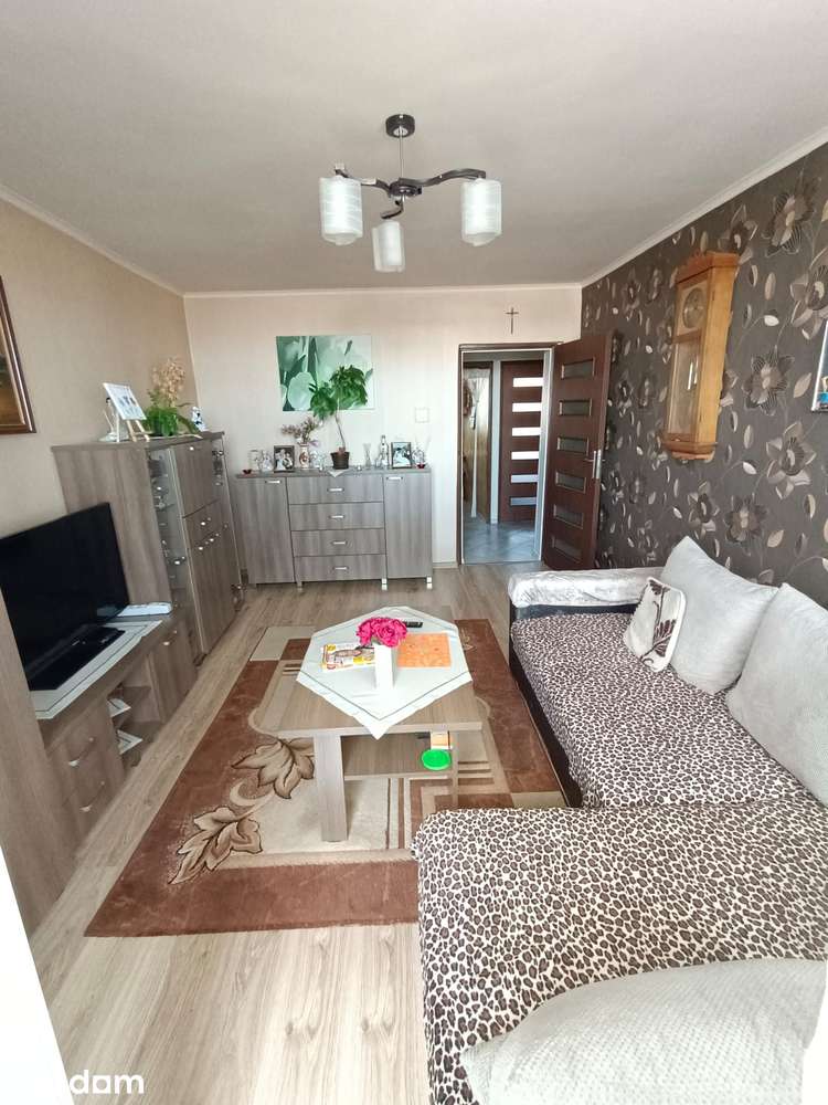 2 pokoje Podwale 45 m2