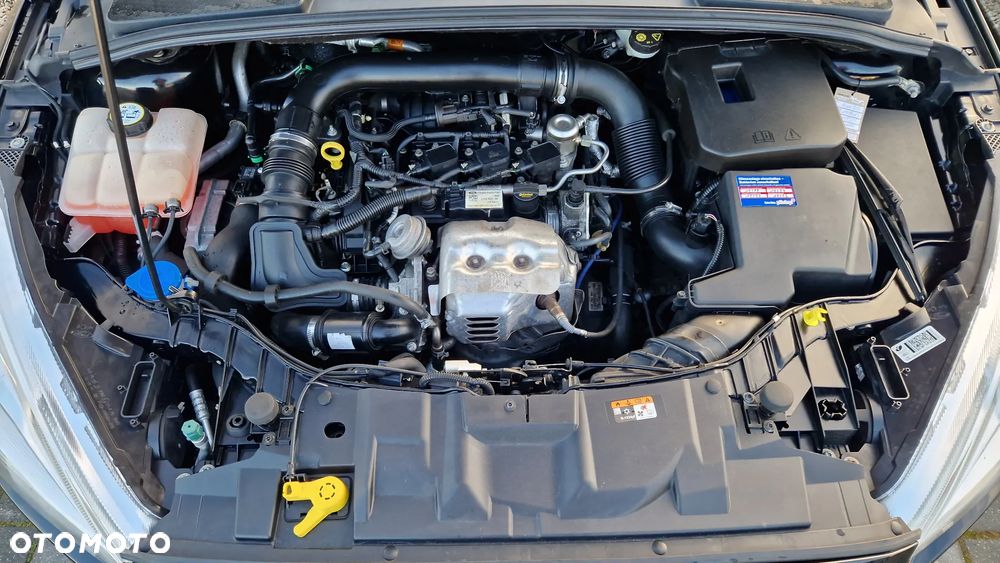 Ford Focus 1.0 EcoBoost Titanium ASS - 39