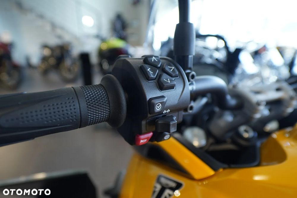 Triumph Tiger - 8