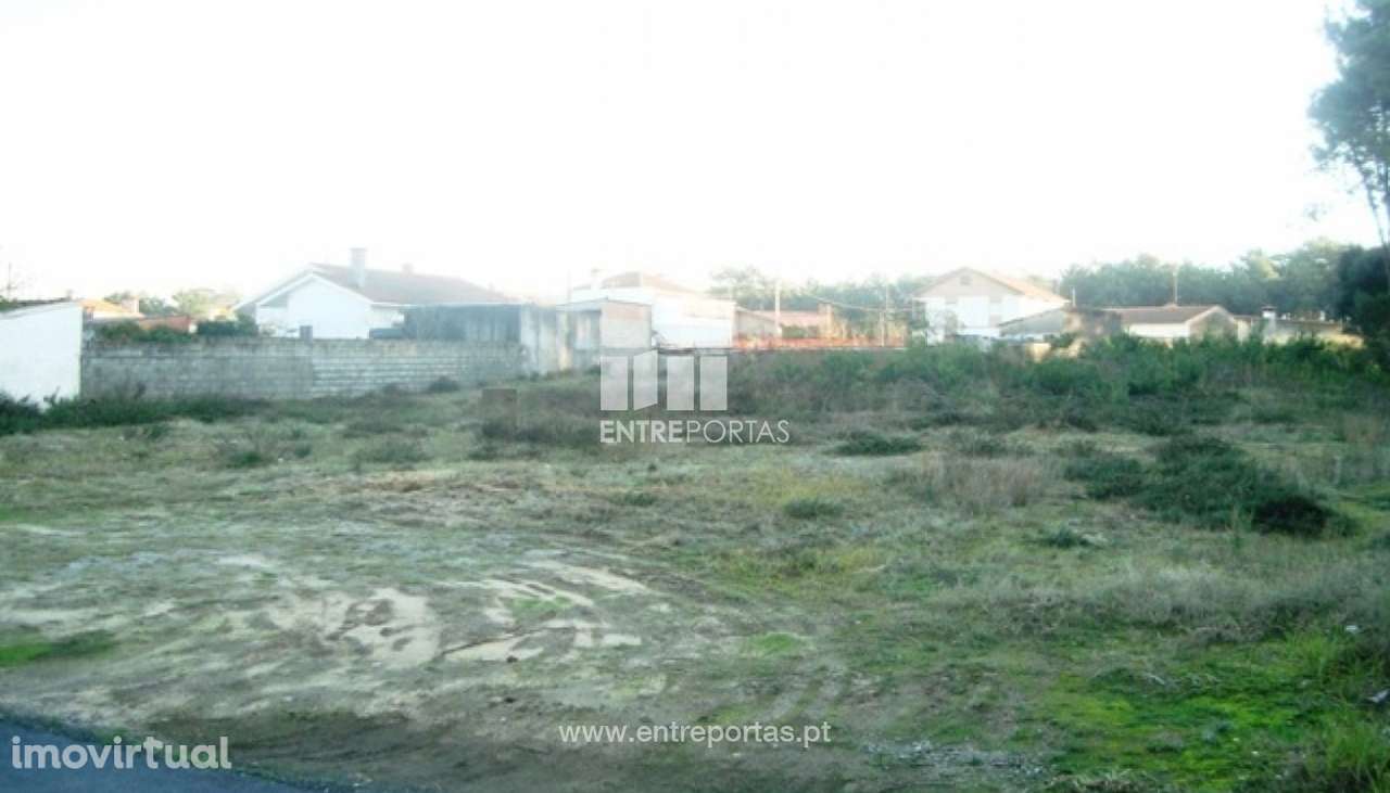 Terreno Chafé - Grande imagem: 2/3