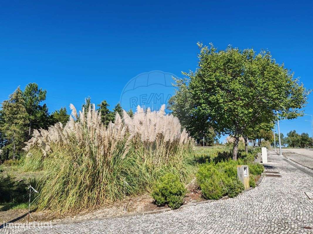 Terreno  para venda - Grande imagem: 3/34