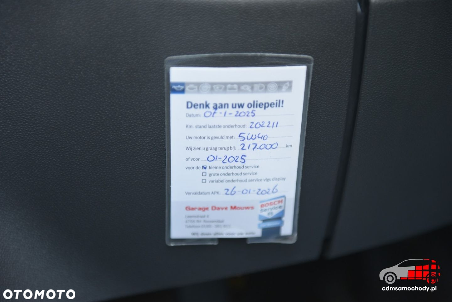 Fiat 500 - 25