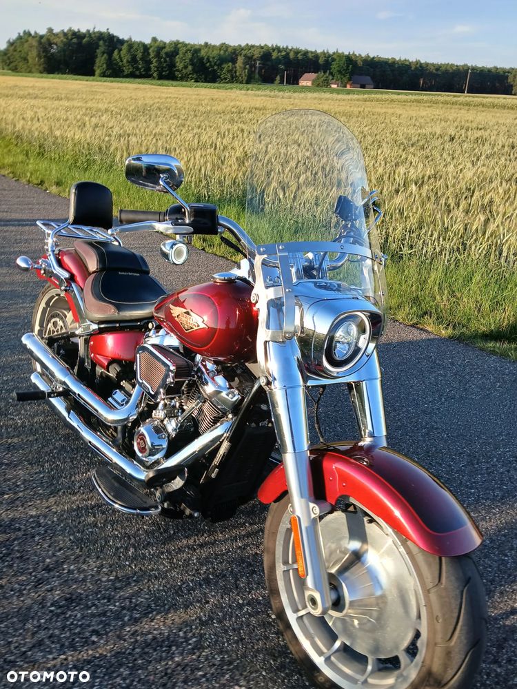 Harley-Davidson Inny - 19