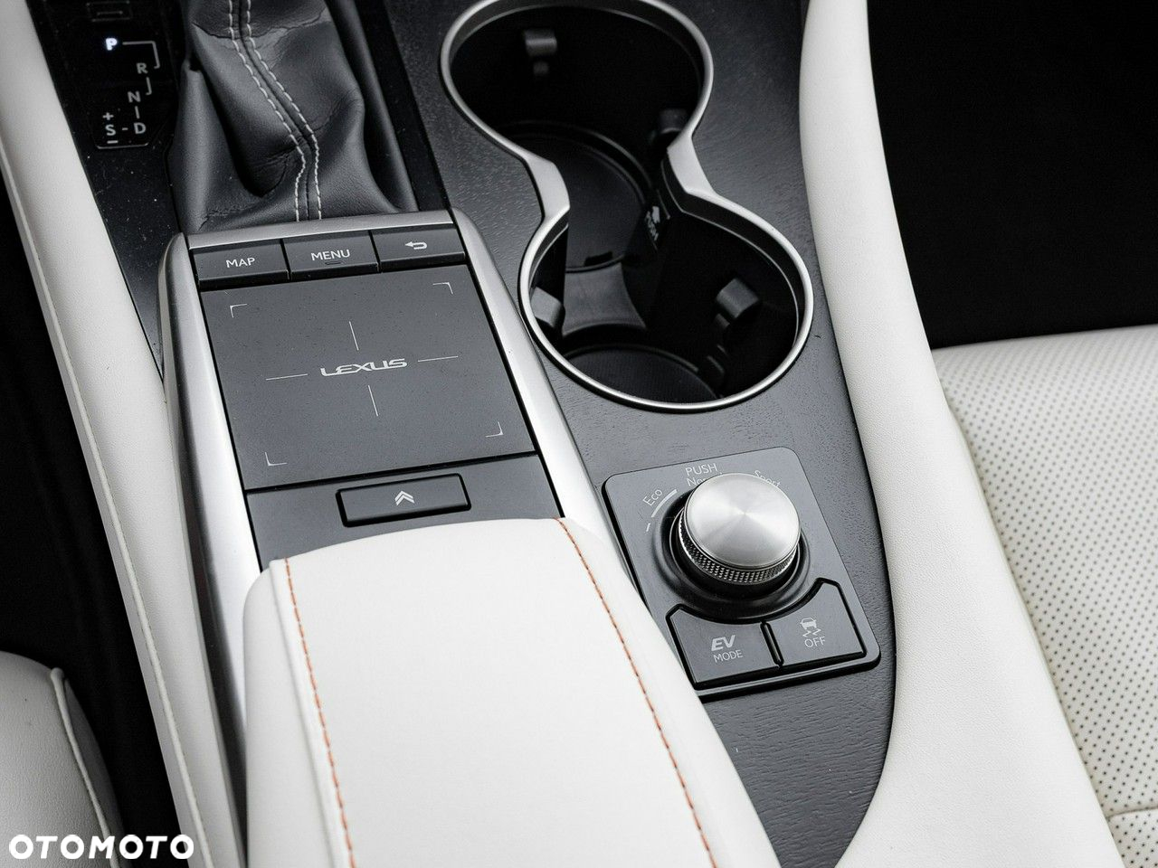 Lexus RX 450h F-Impression - 20