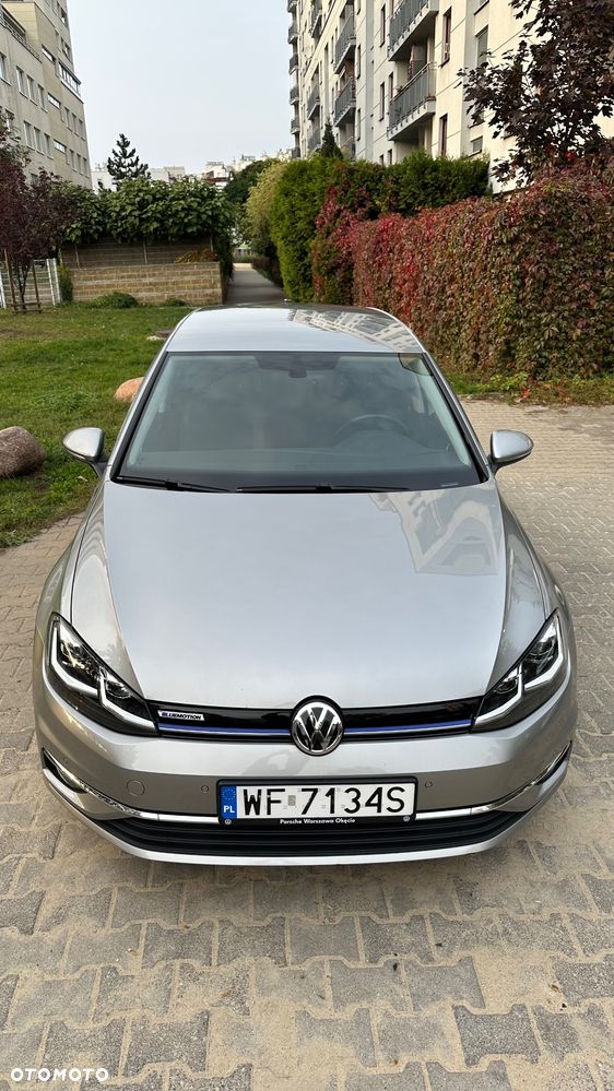 Volkswagen Golf - 16