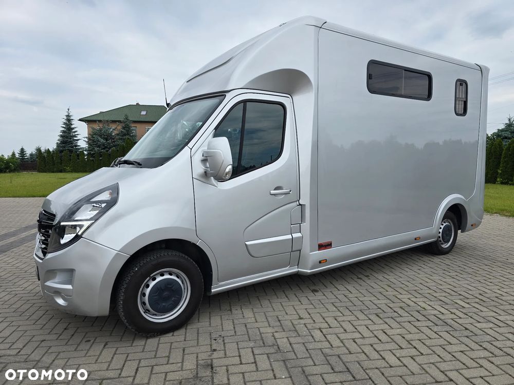 Opel Movano-Koniowóz - 8