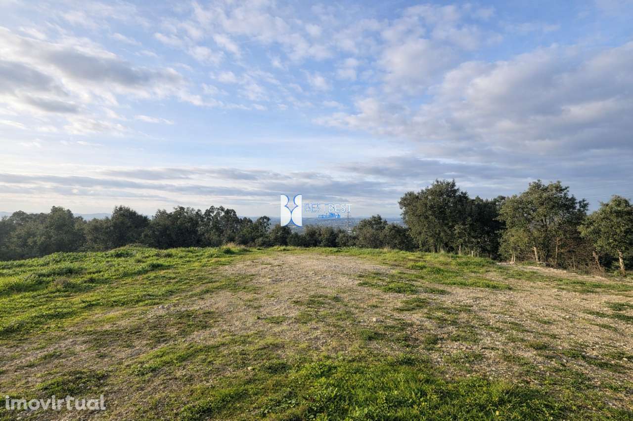 TERRENO COM 10.031  M2 EM BURGAES, SANTO TIRSO - Grande imagem: 3/11