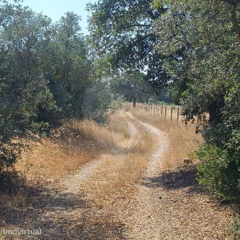 Terreno  para venda - Grande imagem: 4/6