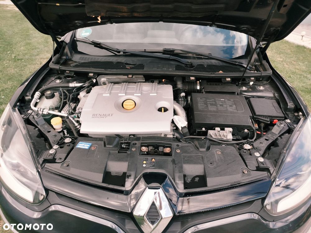 Renault Megane 220 GT EU6 - 22