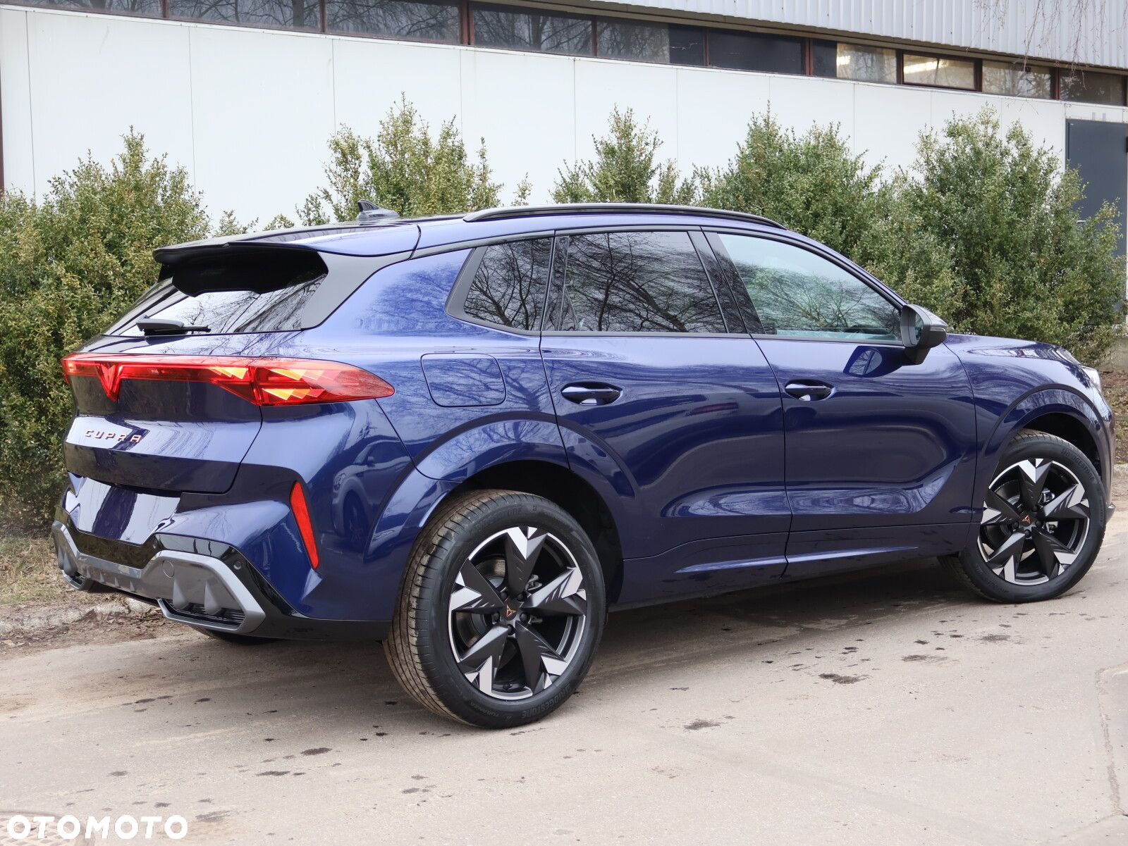 Cupra Terramar 1.5 eTSI mHEV DSG - 17