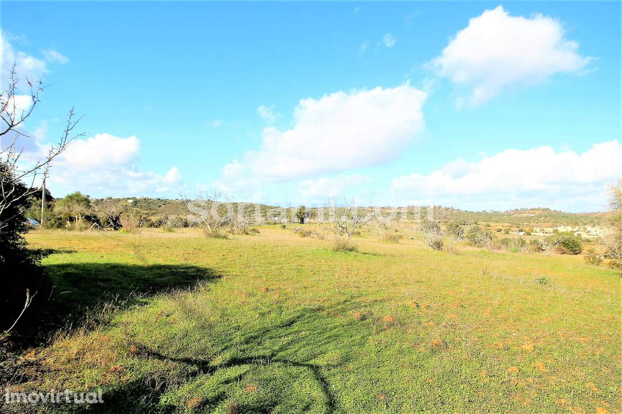 Terreno Rústico  Venda em Algoz e Tunes,Silves - Grande imagem: 5/9