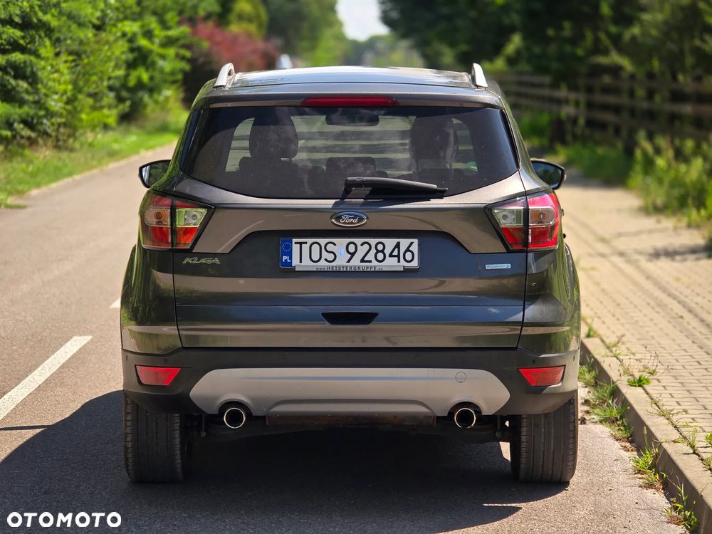 Ford Kuga 1.5 EcoBoost 2x4 Business Edition - 15