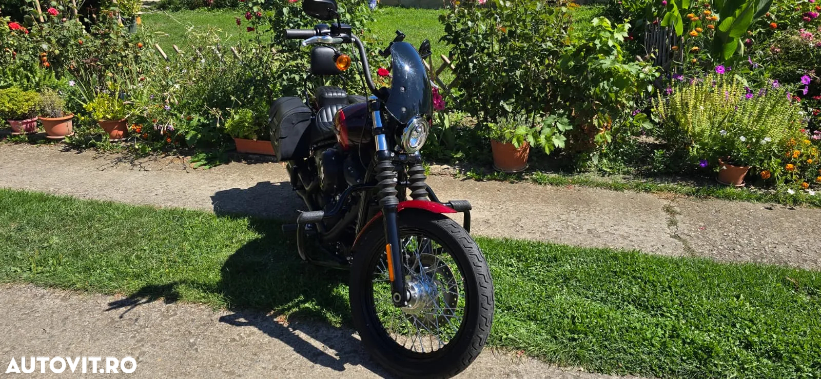 Harley-Davidson Softail Street Bob - 2