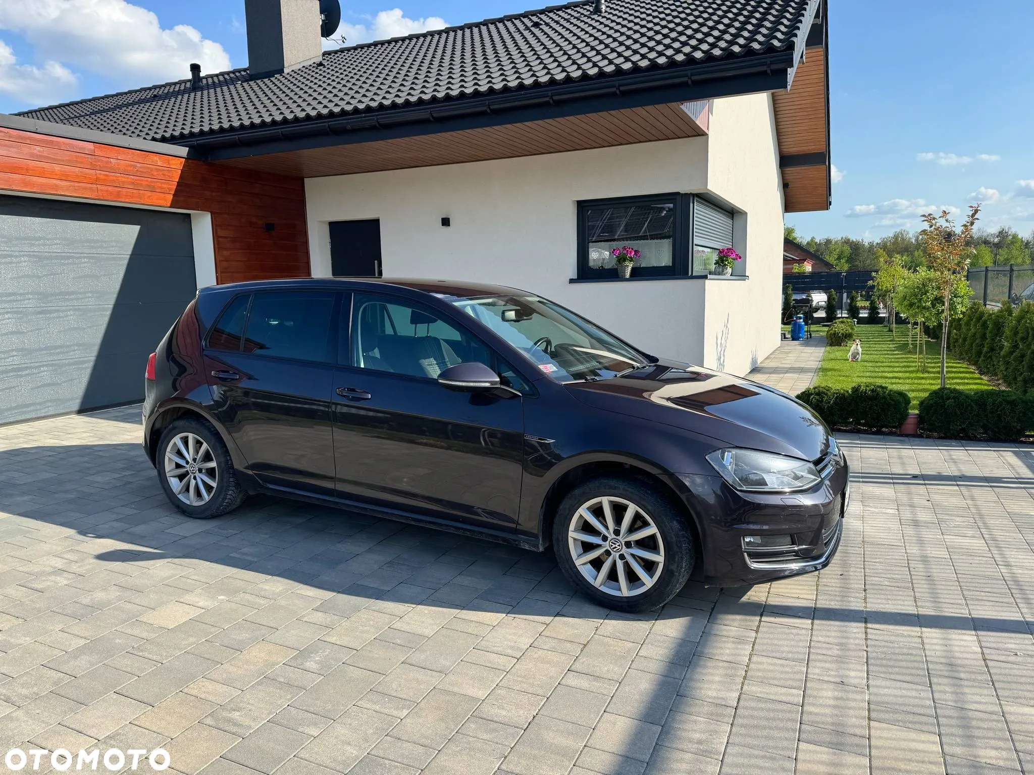 Volkswagen Golf VII 1.2 TSI BMT Trendline Perfectline - 4
