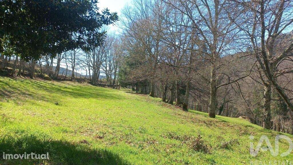 Terreno em Campelo e Ovil de 40,00 m2 - Grande imagem: 3/26