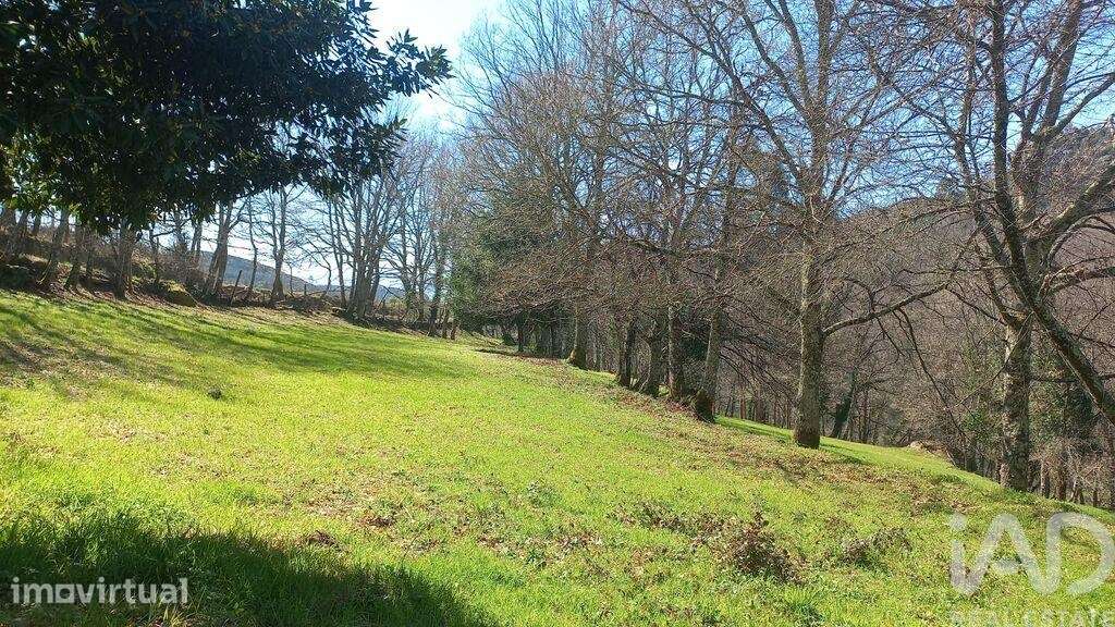 Terreno em Campelo e Ovil de 40,00 m2 - Grande imagem: 3/26
