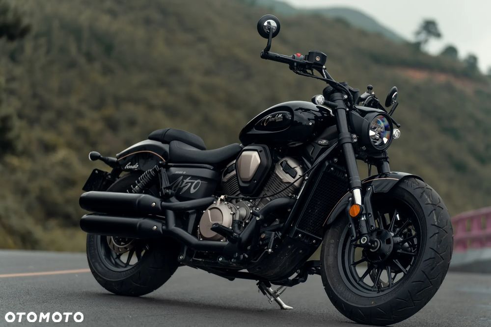 Benda Chinchilla 500 - 5