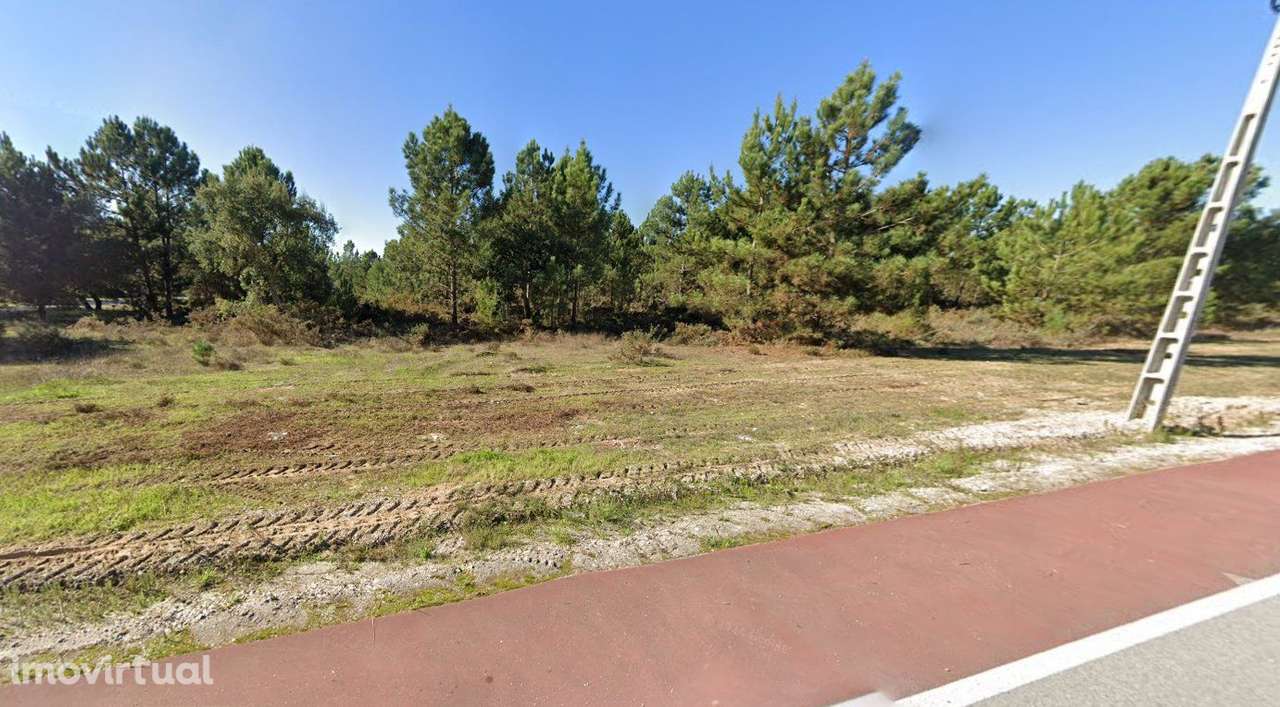 Excelente Terreno para Investimento | Futura Zona Industrial - Grande imagem: 5/8