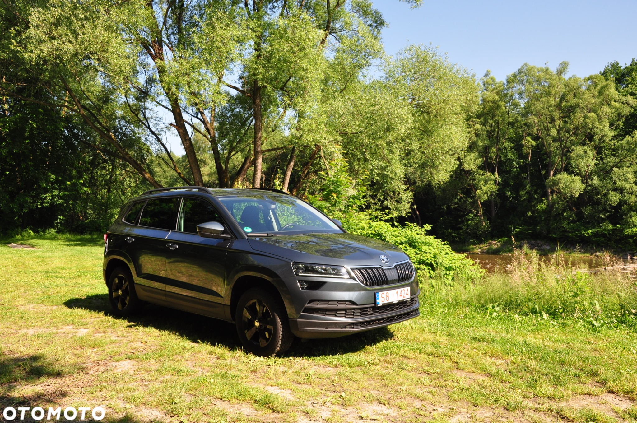 Skoda Karoq 2.0 TDI 4x4 DSG Drive - 6