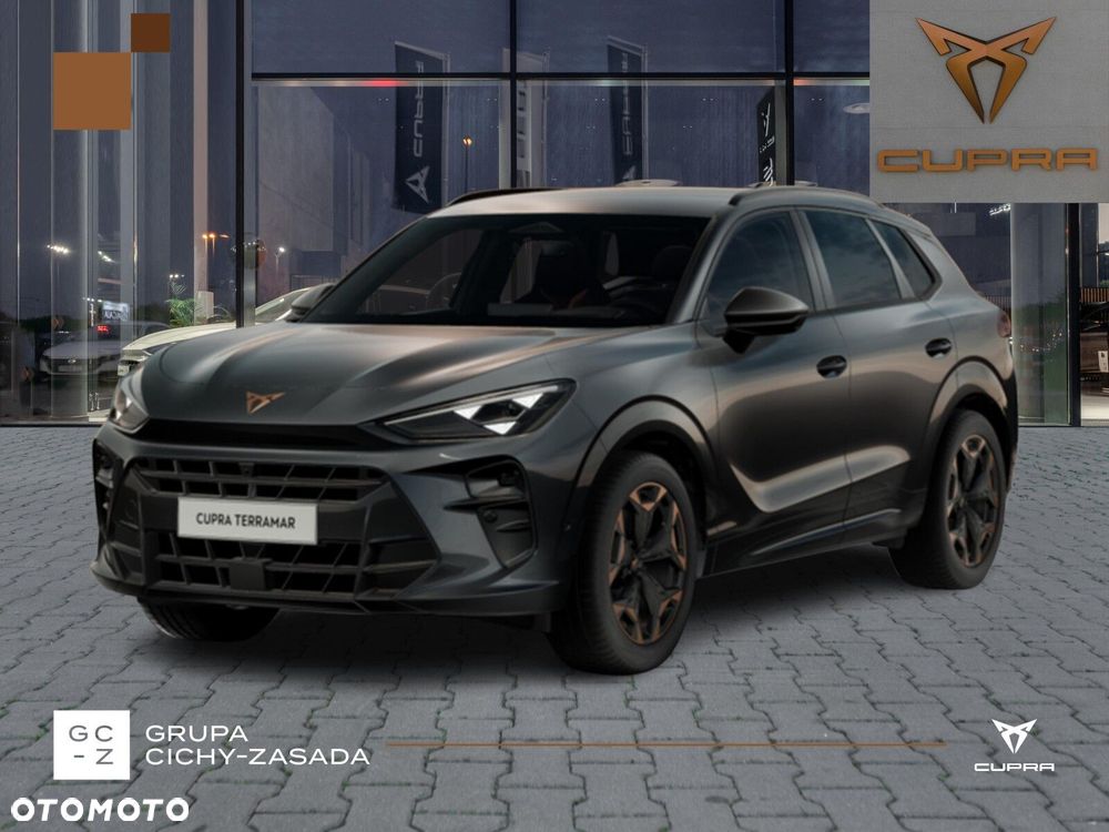 Cupra Terramar - 4