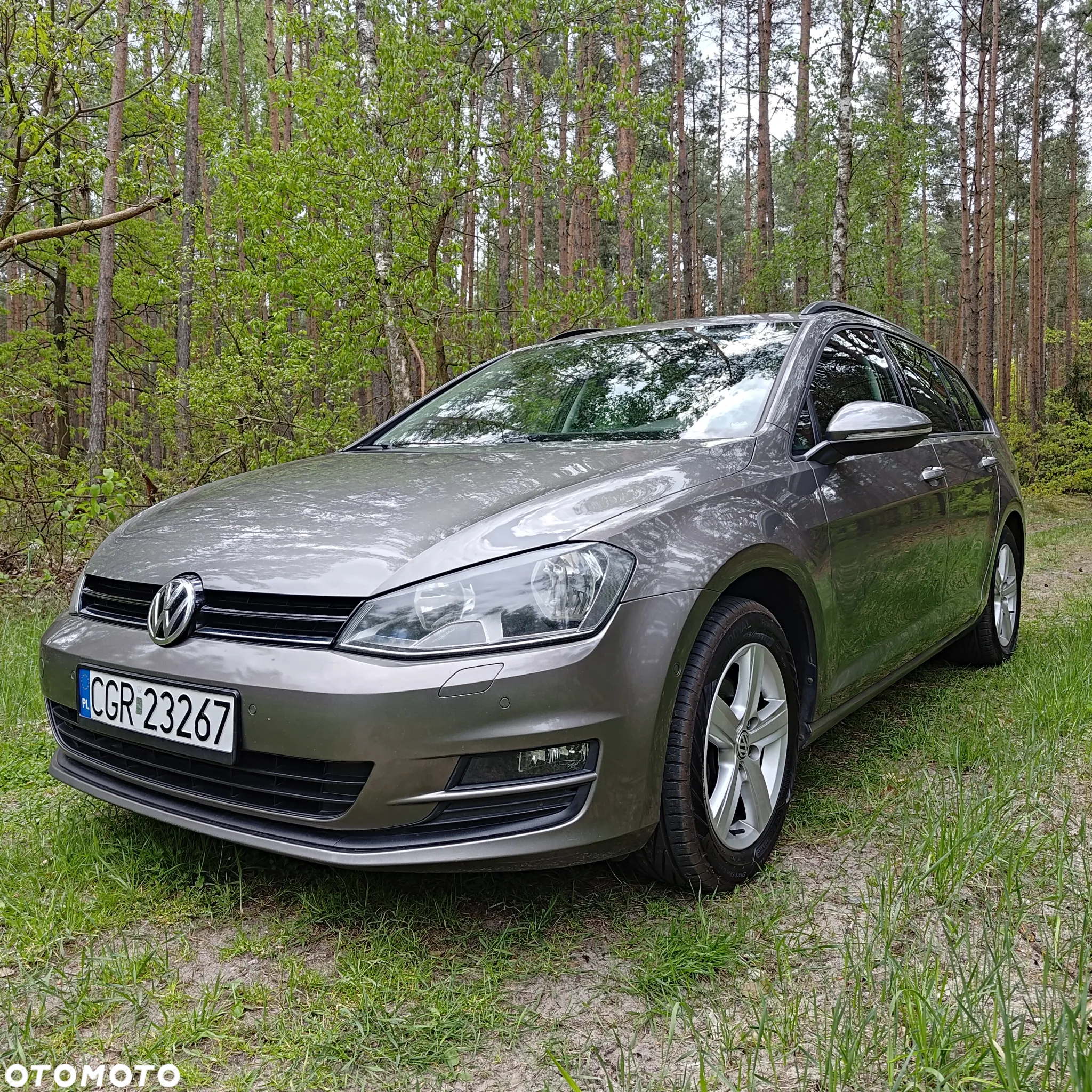 Volkswagen Golf - 2