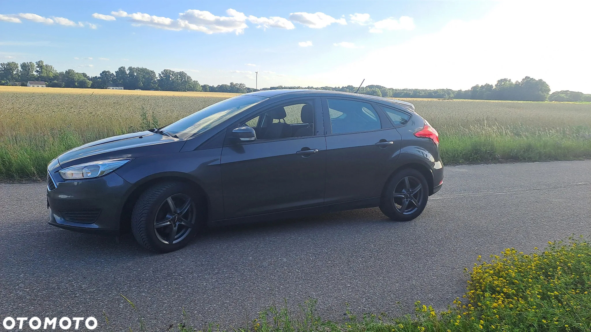 Ford Focus 1.6 Trend - 20