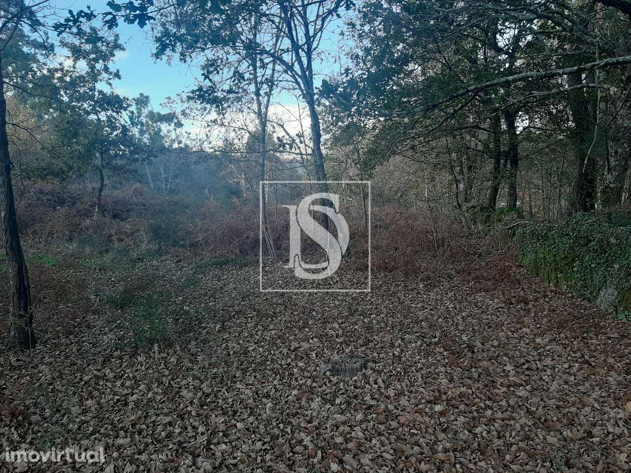 Terreno  Venda em Vieira do Minho,Vieira do Minho - Grande imagem: 5/15