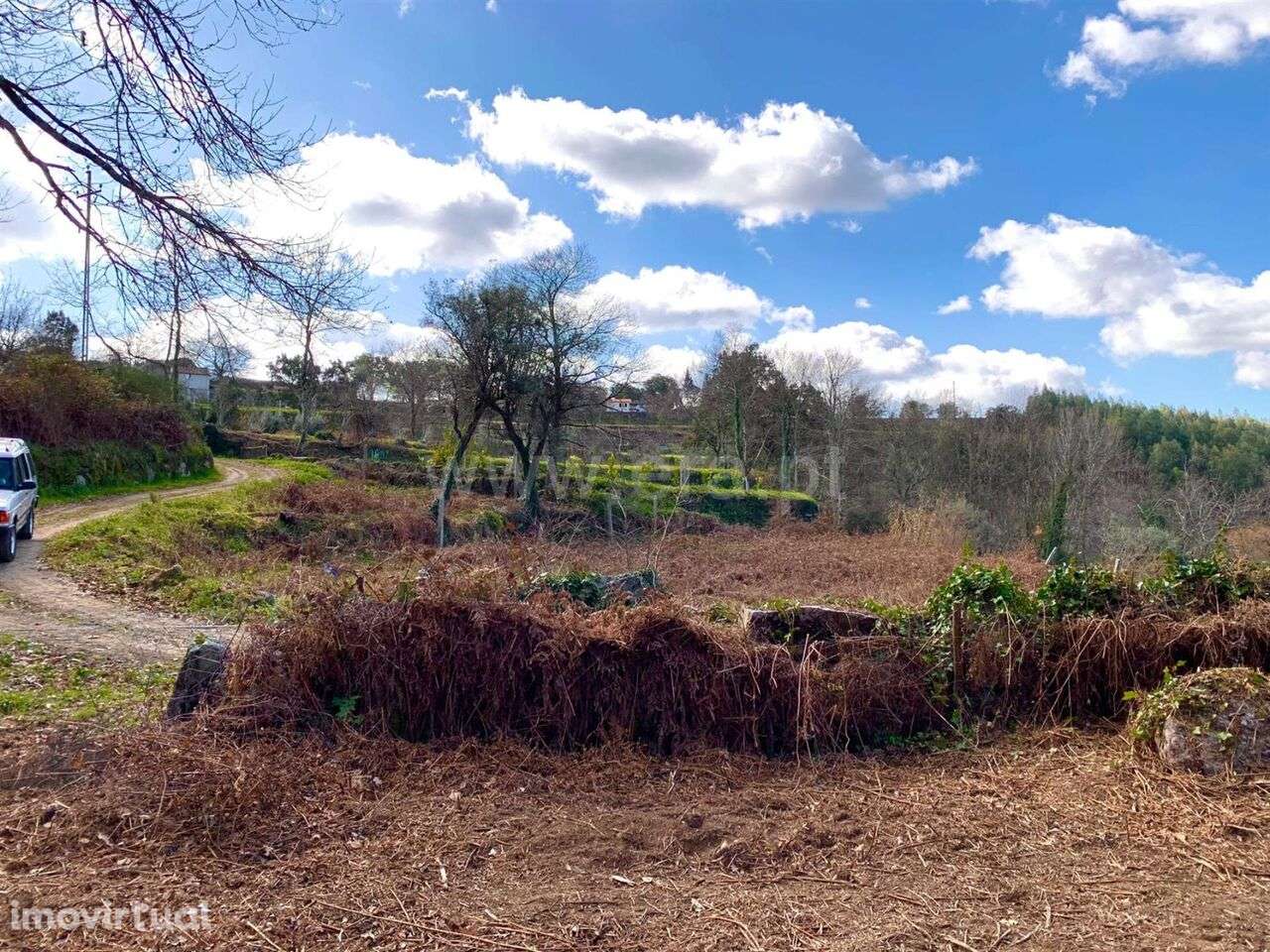 Terreno / Cinfães, Fornelos - Grande imagem: 4/8