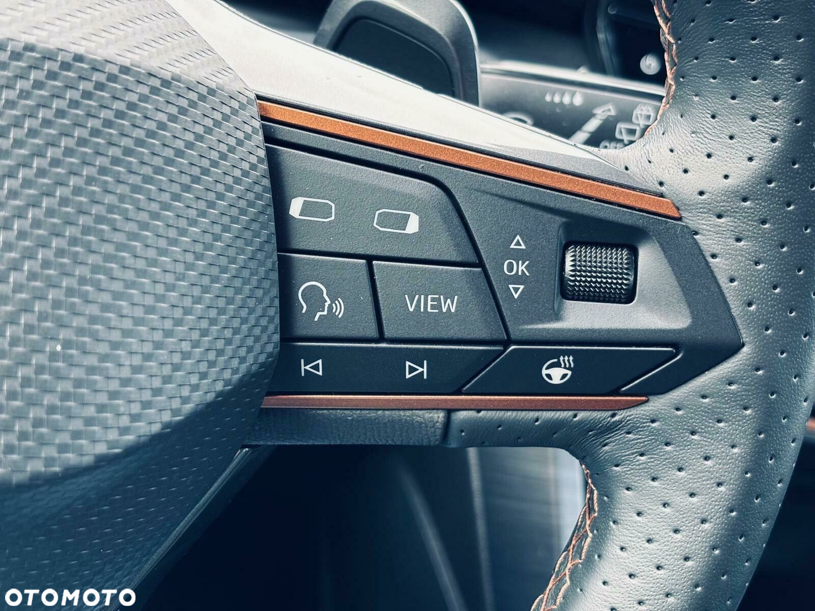Cupra Formentor 2.0 TSI 4Drive DSG - 25