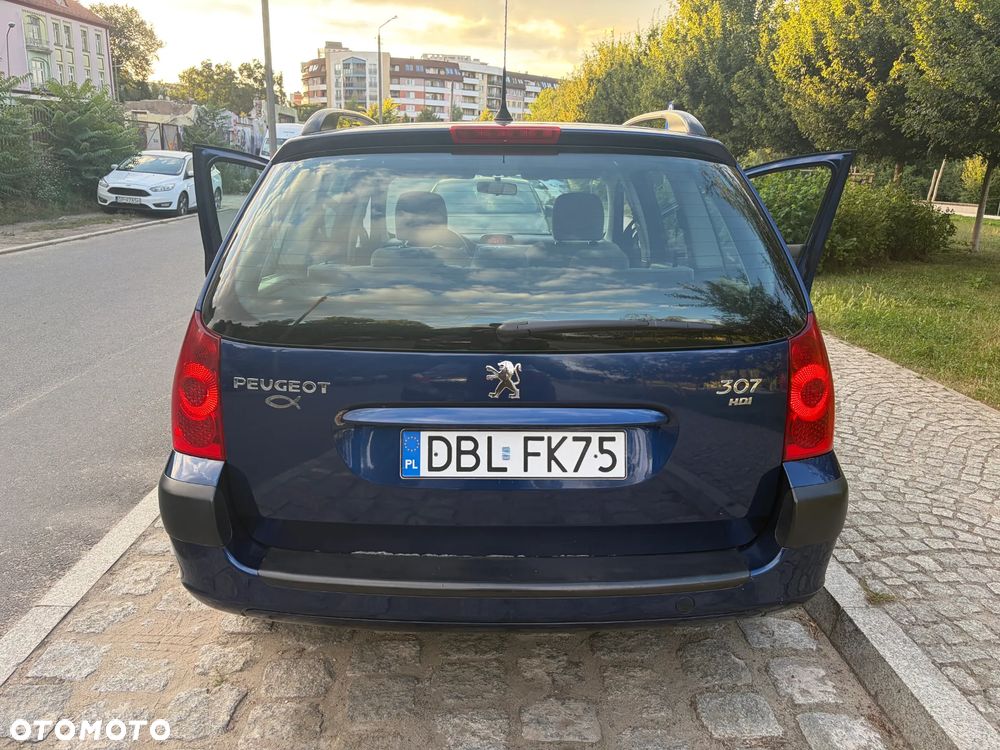 Peugeot 307 - 18