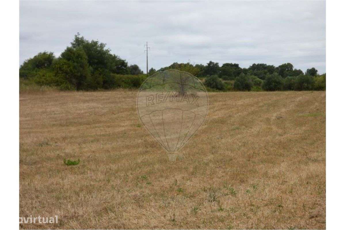 Terreno  para arrendamento - Grande imagem: 2/5