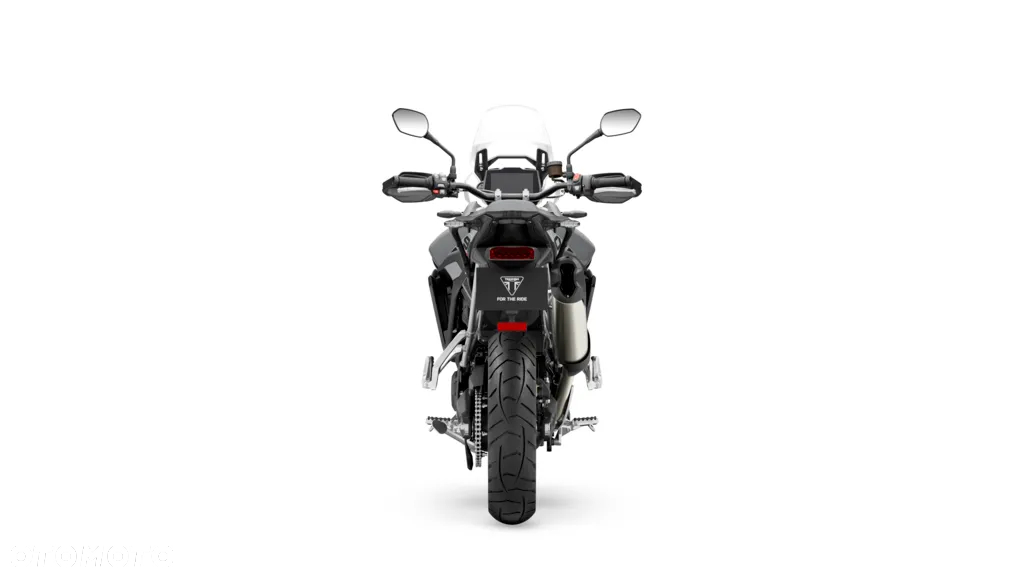 Triumph Tiger - 18