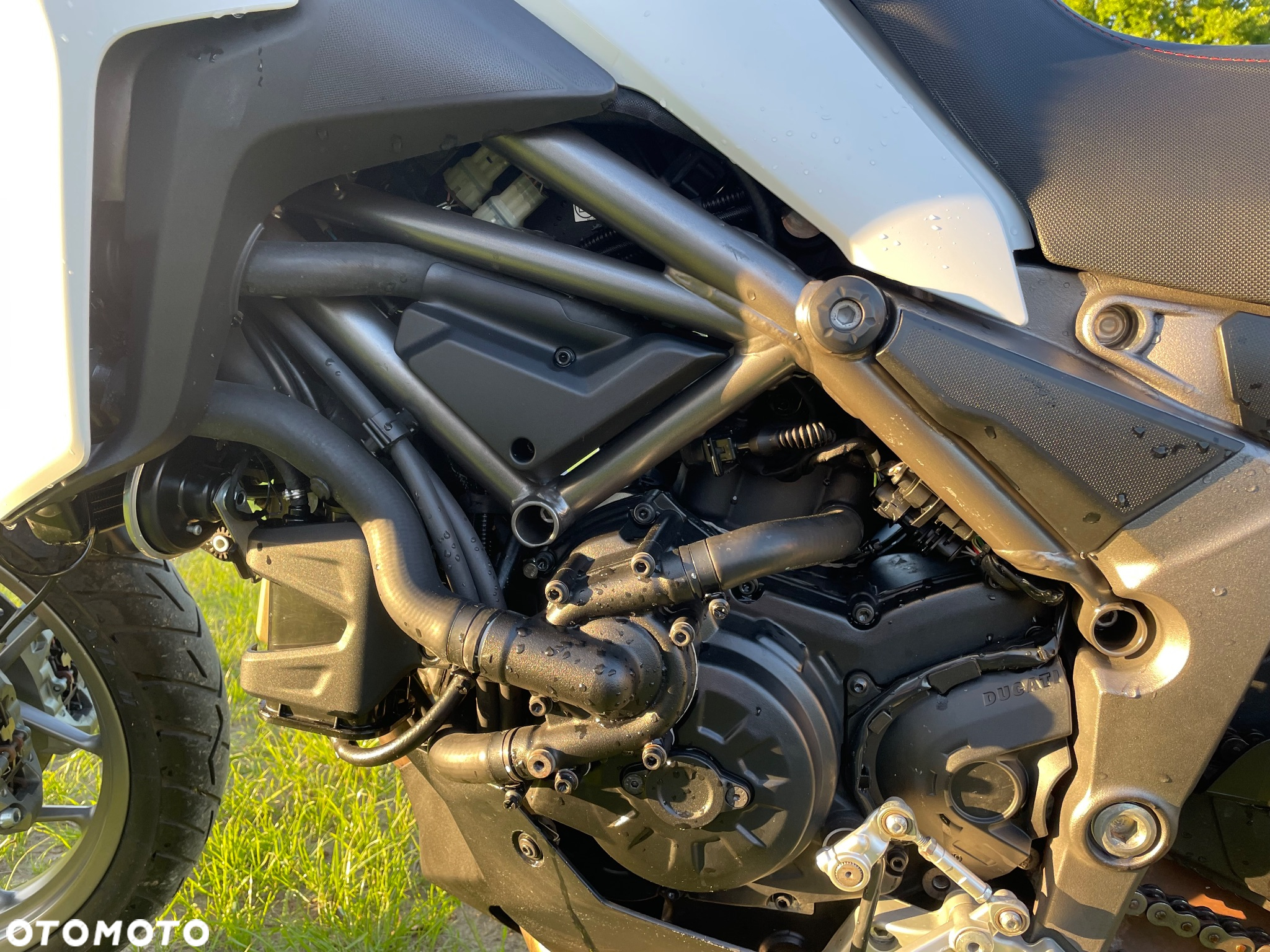 Ducati Multistrada