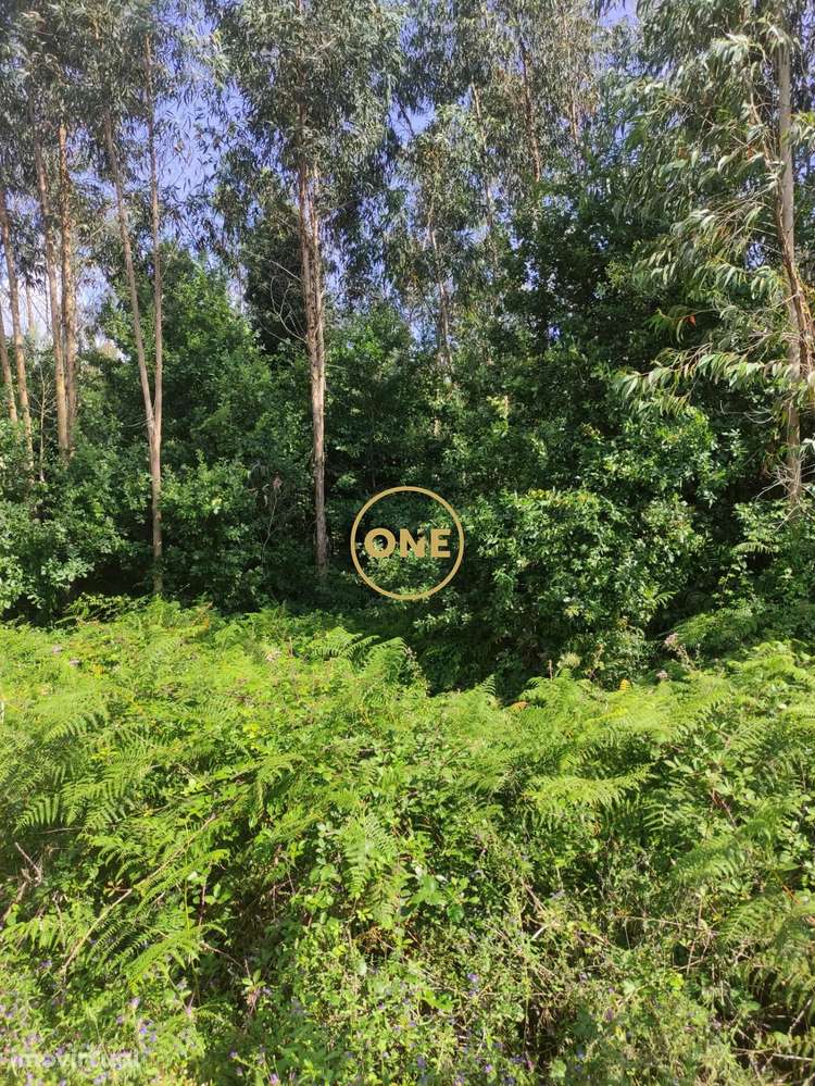 Venda Terreno - Grande imagem: 4/5