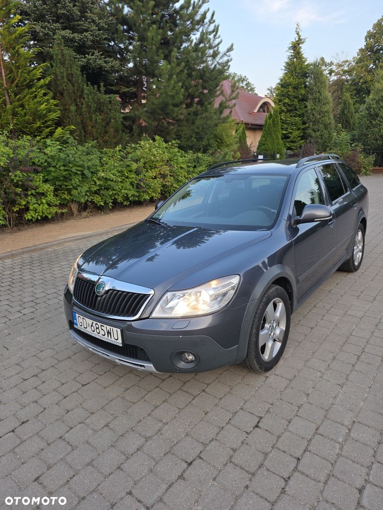 Skoda Octavia Scout 2.0 TDI DPF - 2