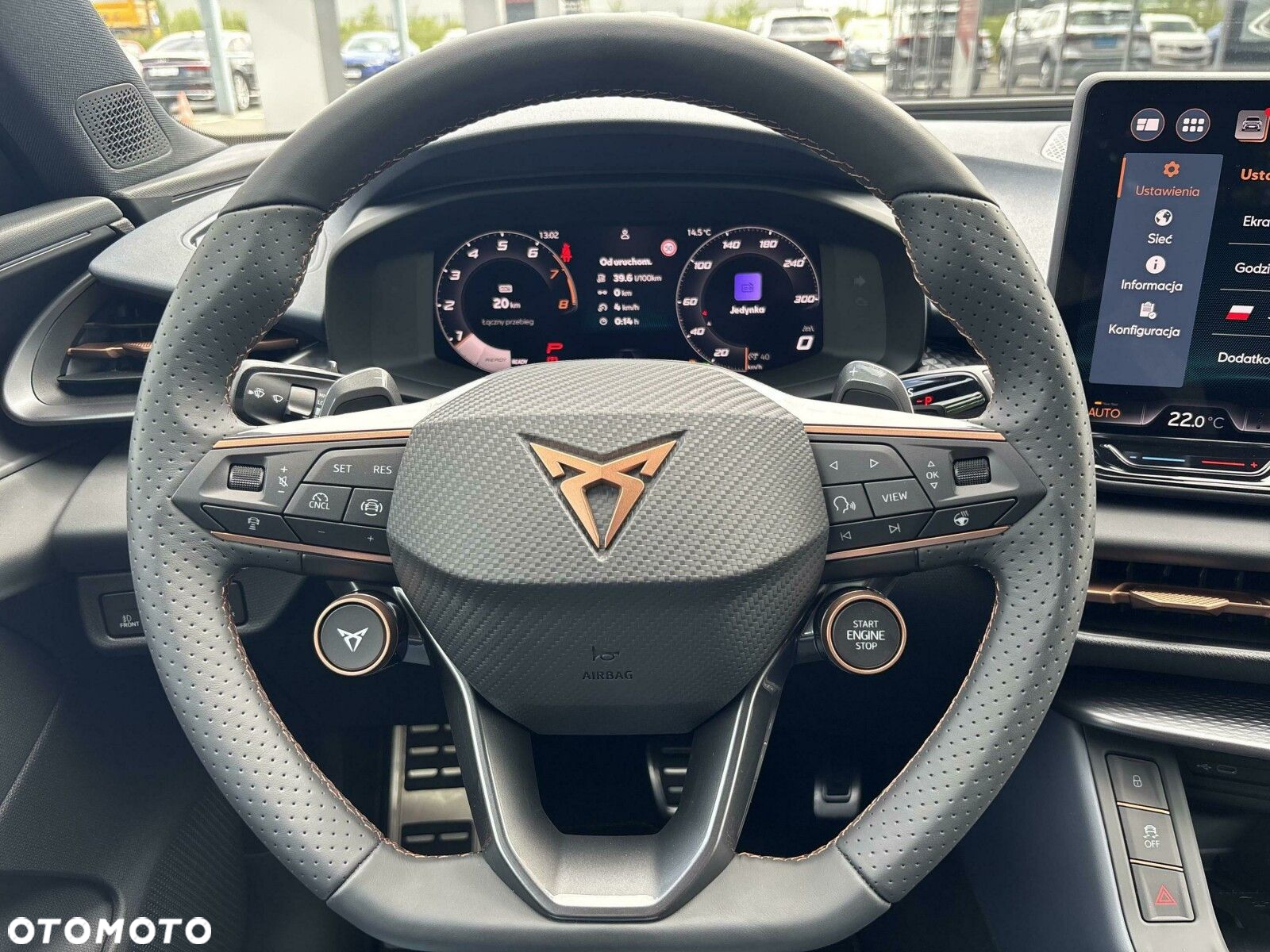 Cupra Terramar - 12