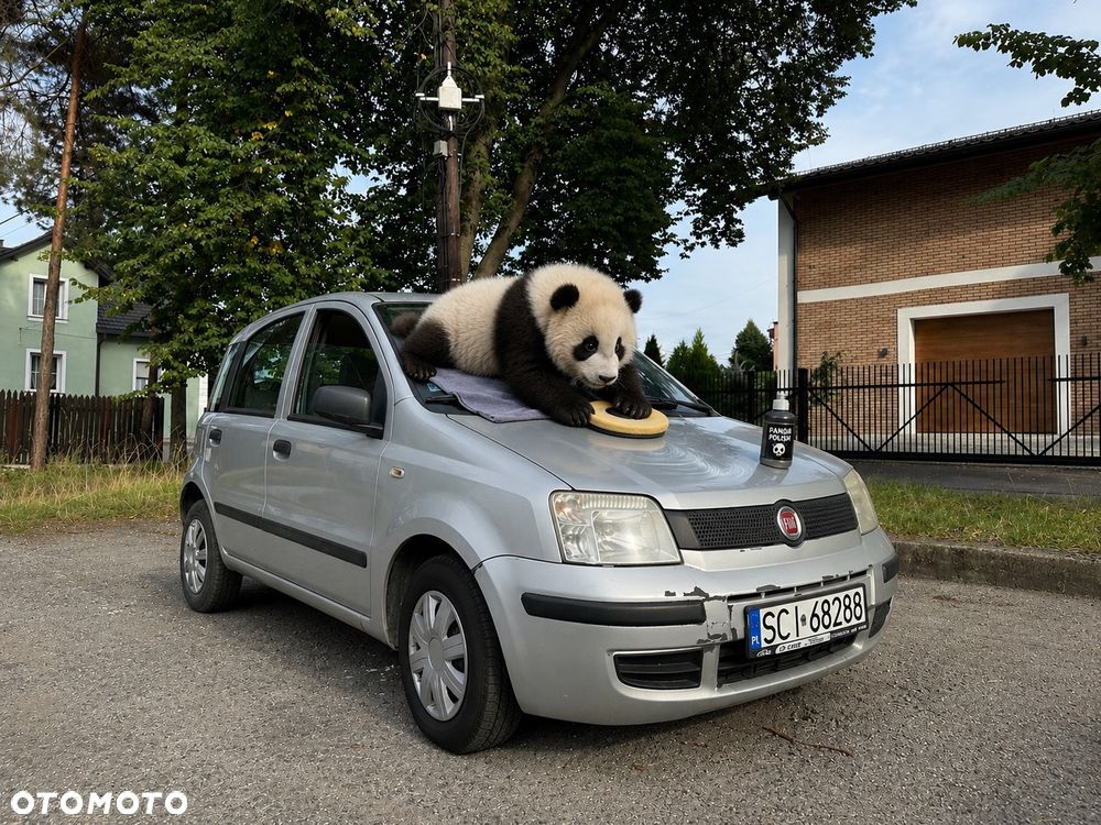 Fiat Panda 1.1 Fresh - 1